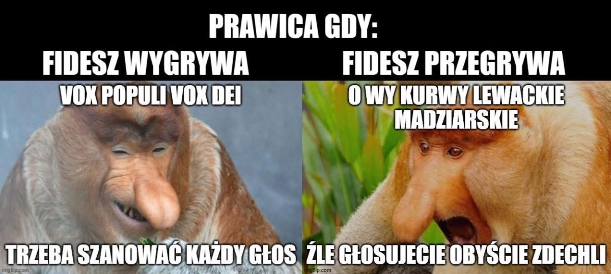 6bddcd60-c787-4078-88f1-2e2054fcd157