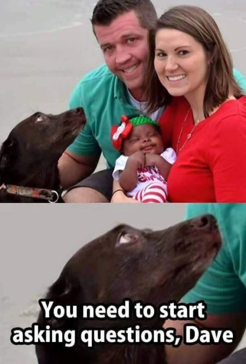 d64e3edd-7656-4d8c-8aa8-7a96fd4a8a3e