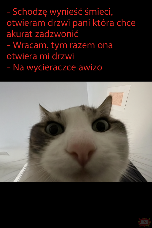 16d3c741-0392-421d-8663-668fd9fa3077