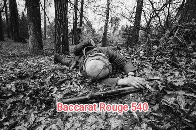 6b9e1495-fd77-43b1-9671-acb1cf29a230