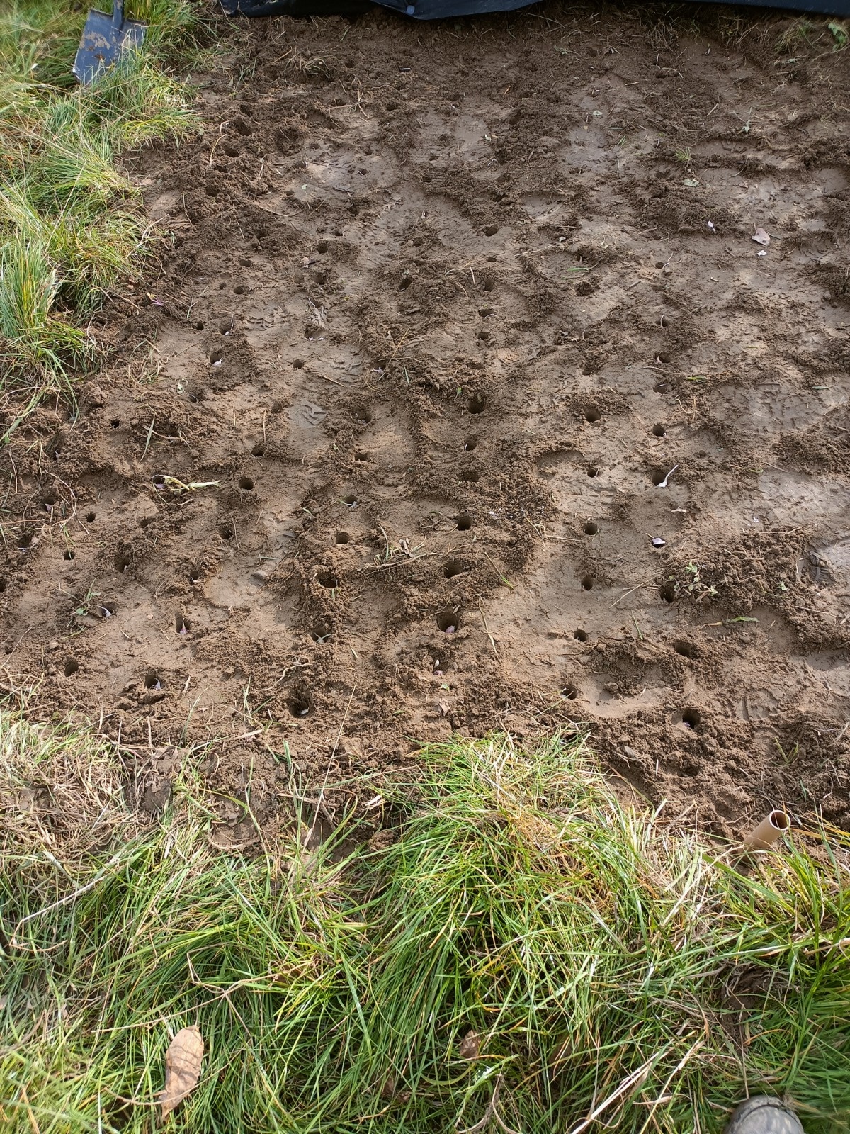 2e19d090-4c3c-43ca-b94c-35657d204c26