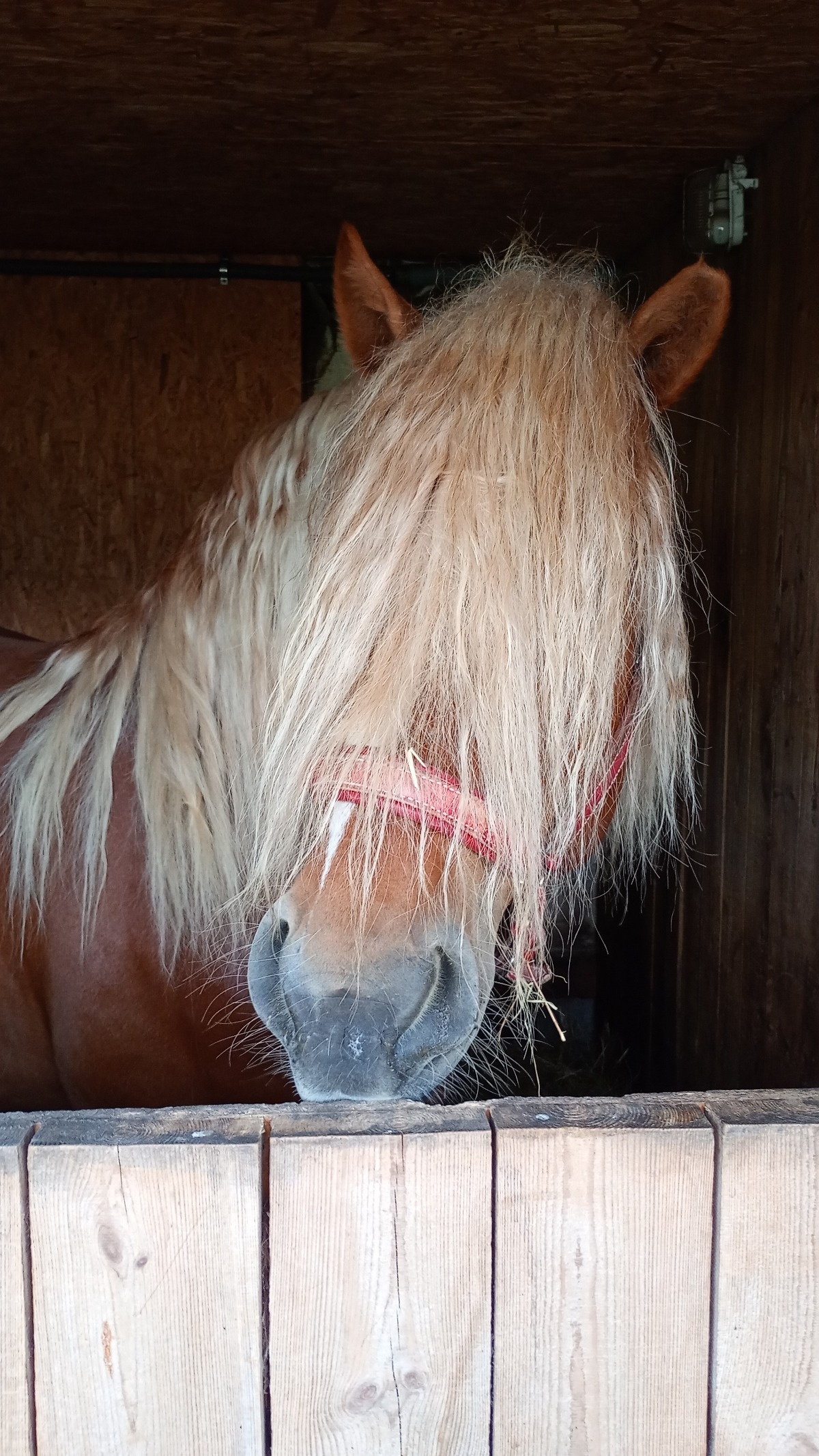 d81f733e-6f03-4128-b285-7a1dd66d4699