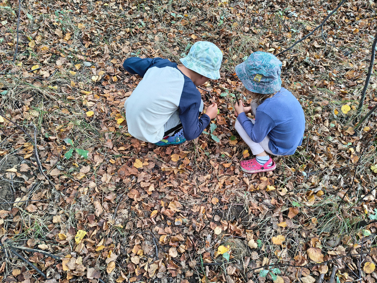 fe6e676d-4354-4246-ba22-d10f2b4d0650