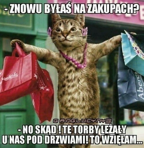 c4fe3098-75c5-4bad-b21d-9350cc80ff7c