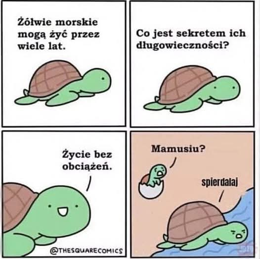 f1545f48-d33b-460e-98a5-71a2fb8fadc9