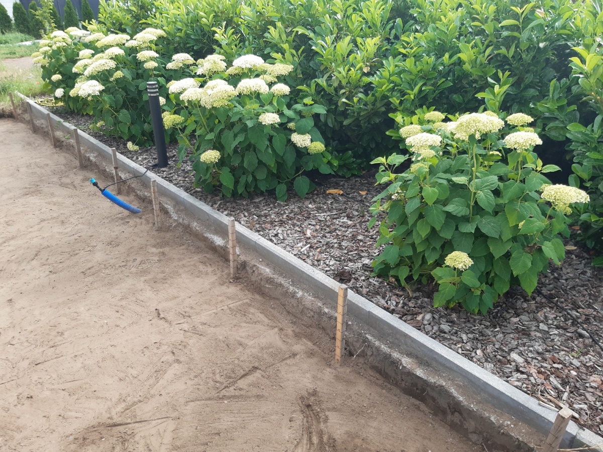 bbecbf81-d932-41c9-a2ba-0e4c1d0b94ec