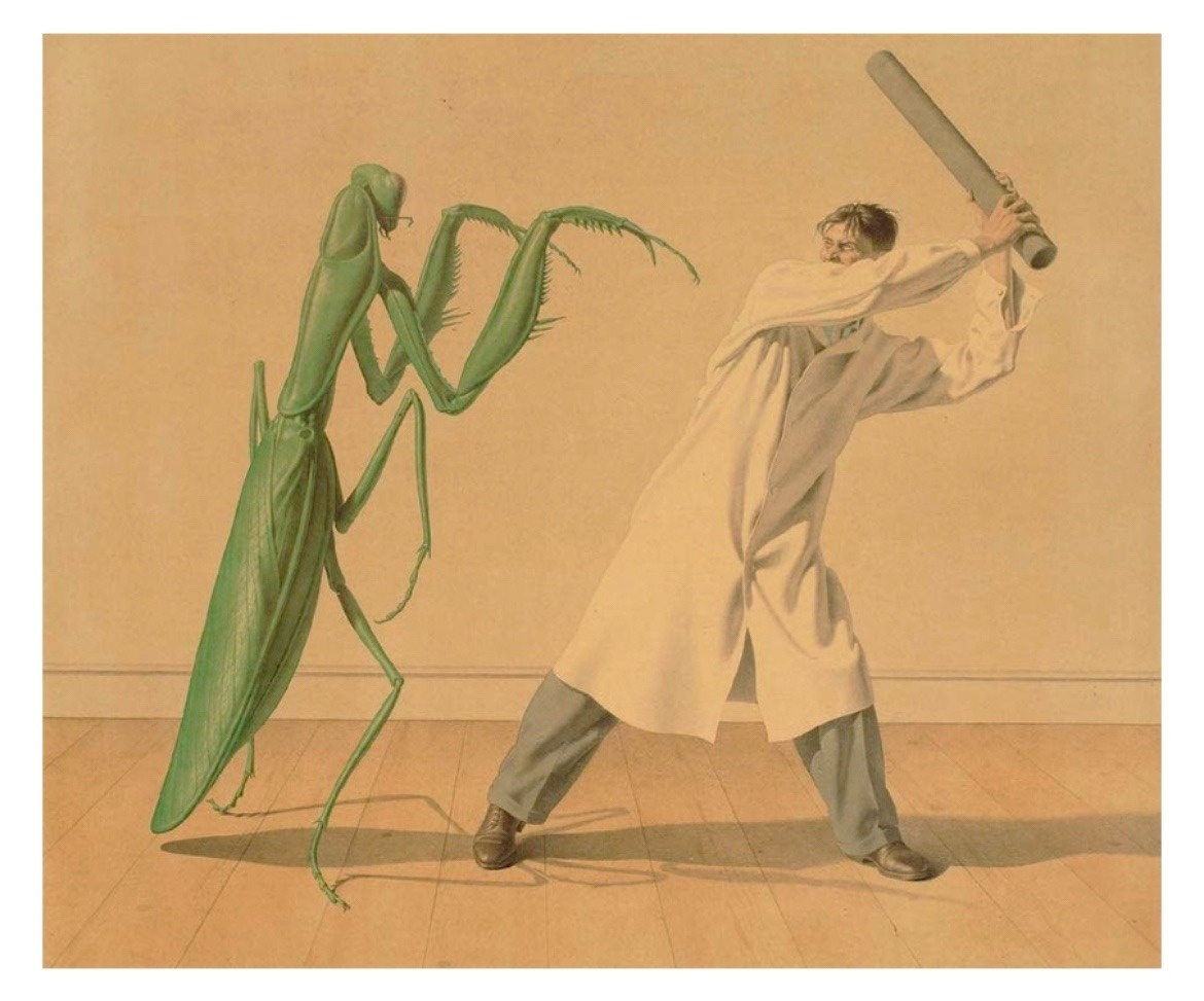 c14ea311-32e1-48ae-9f50-1c34079db607