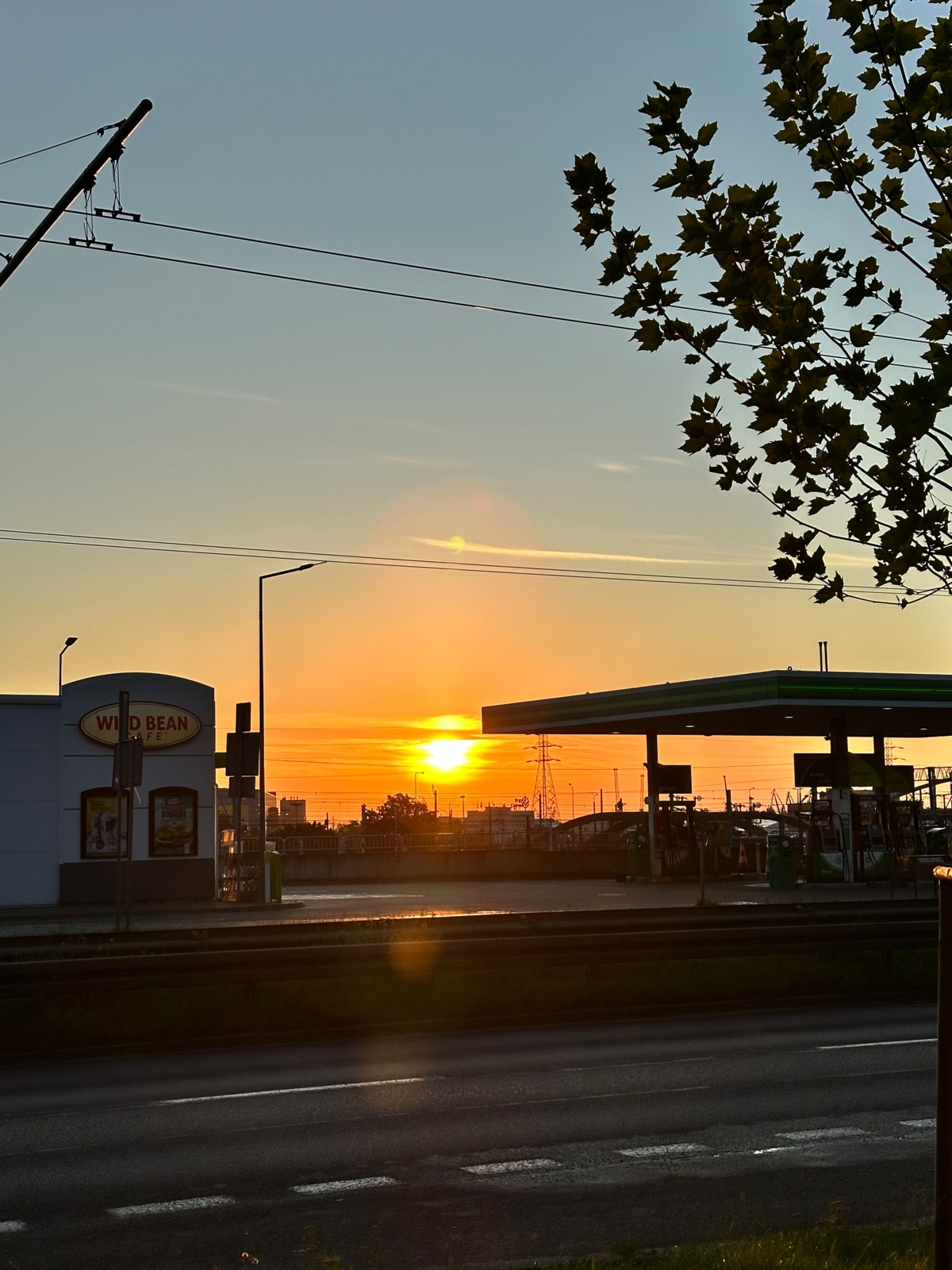 d7e8dcc6-fb1e-4efc-8b95-3b2d52574040