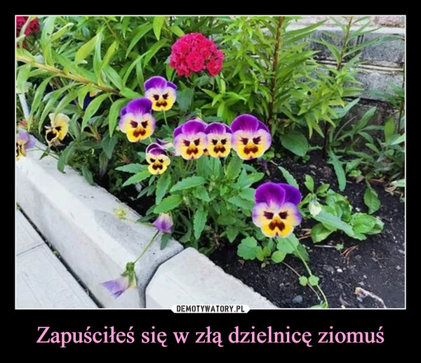 442cf48f-f95c-48c6-ab49-a365c6e5bf5d
