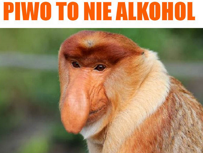 2c386abe-c288-400e-8c92-3129922e10d8