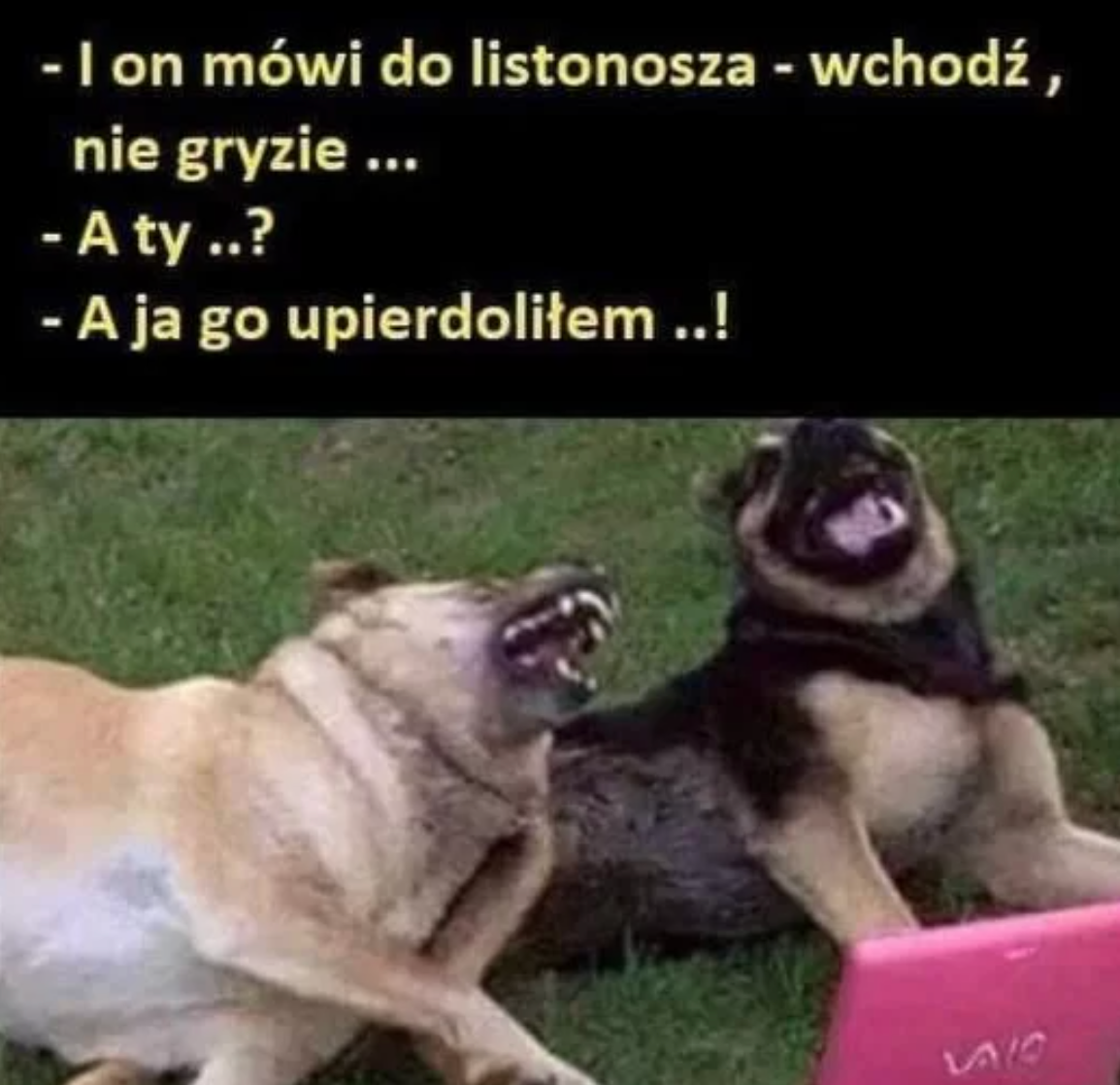 fe38611d-88ae-4866-abb3-696ae725baac