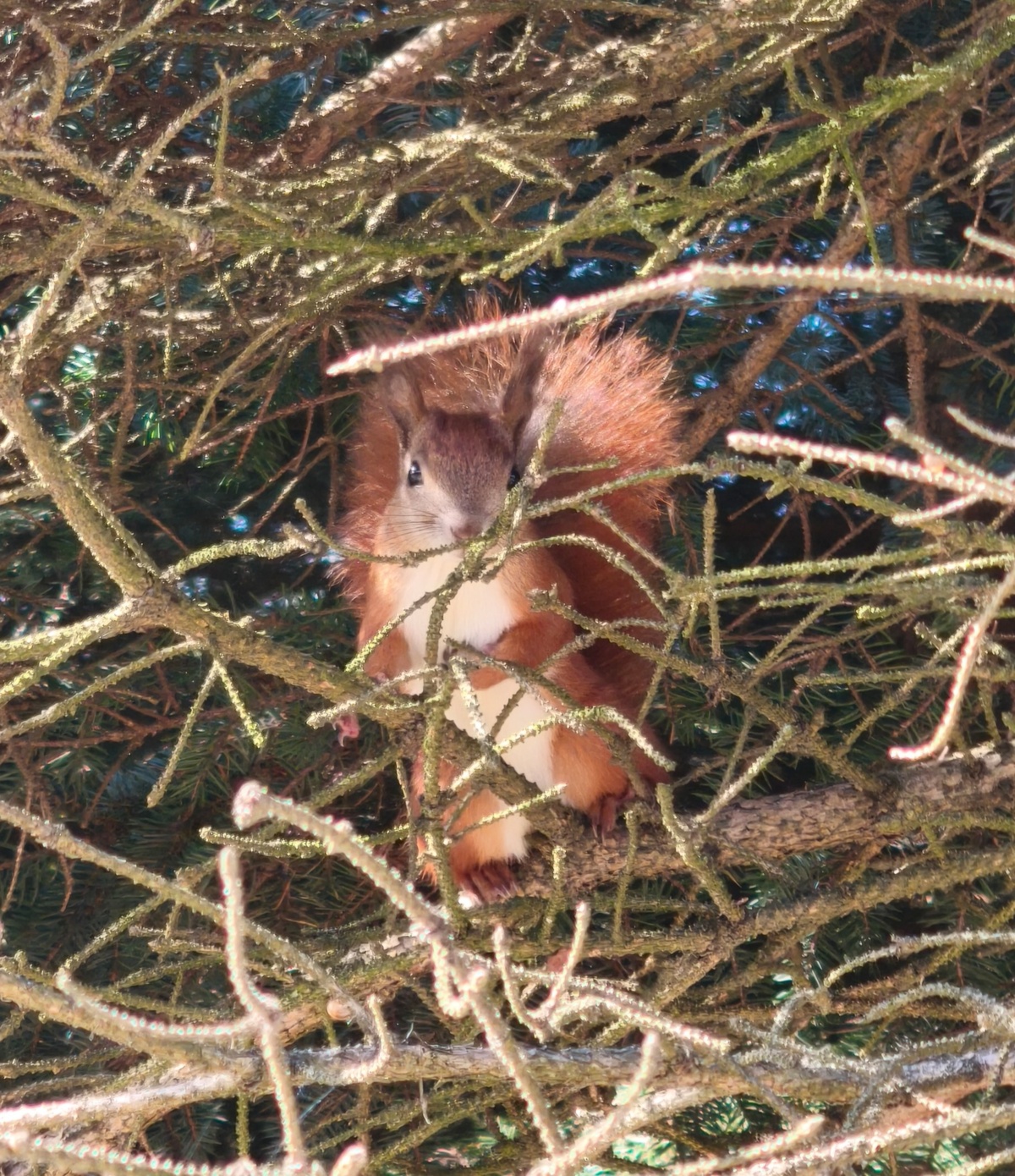 d306d3fc-636f-4a85-ae59-64f69aa209be