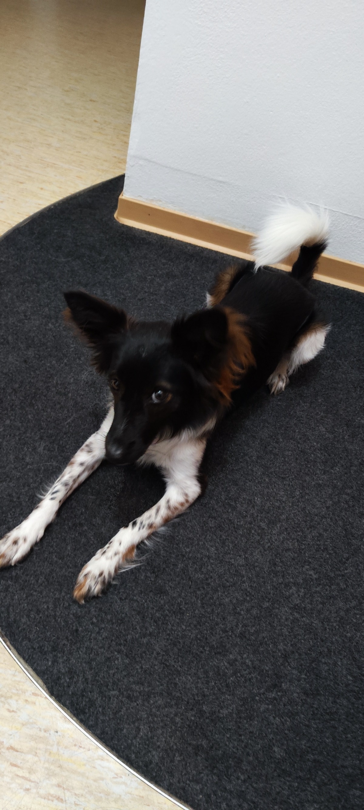 1858fe02-7462-4460-bf4b-08bd7fc8bee0