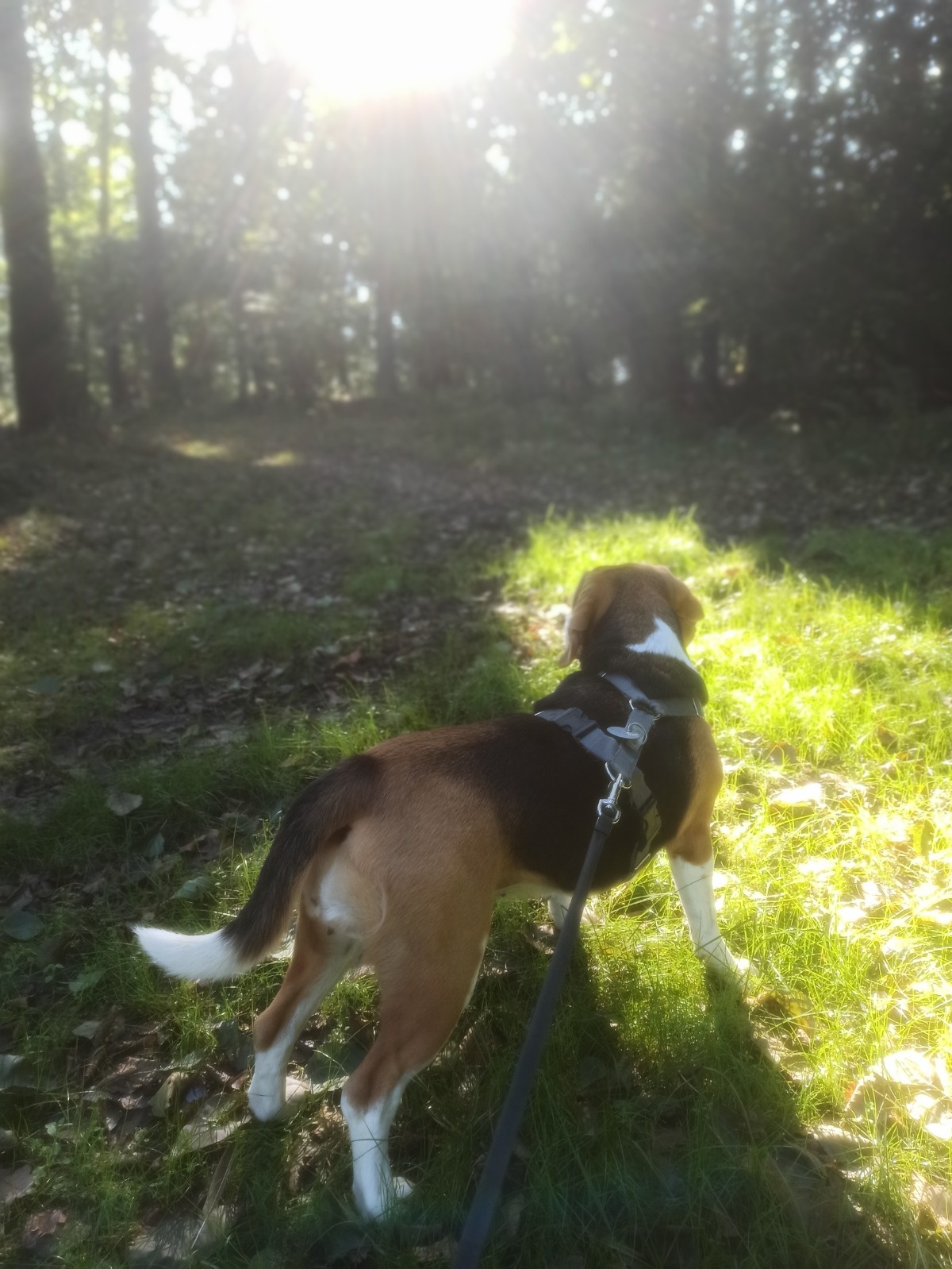 111caa48-83c4-406e-9c40-53ea529e3e07