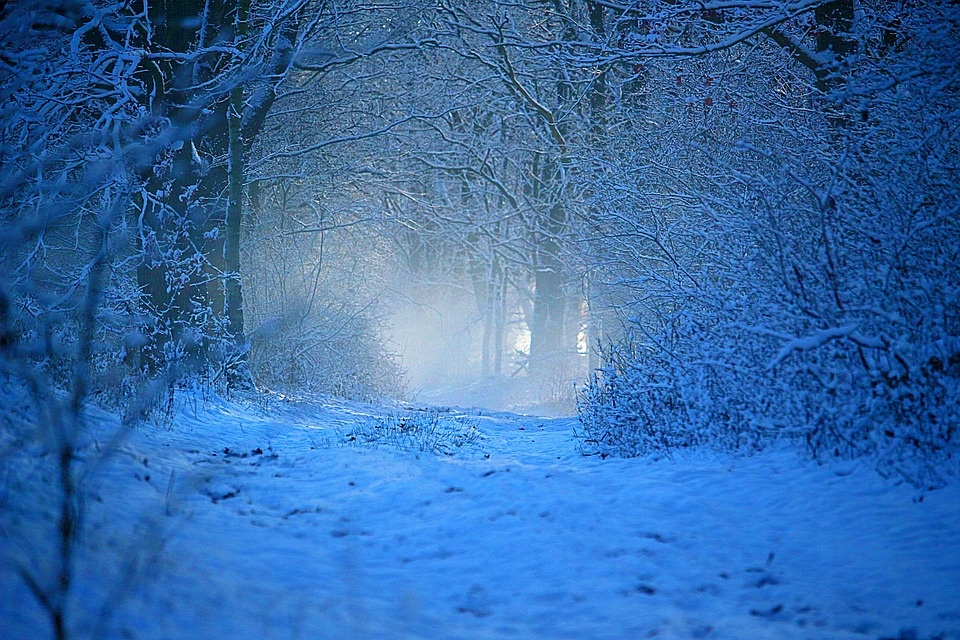 5129ff66-fdd5-4602-8449-8d8b75810cec