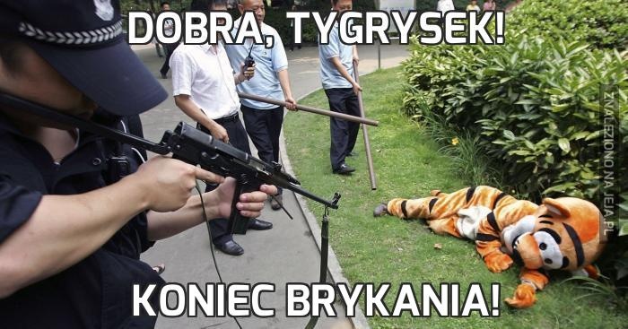 9e9305eb-e353-45e7-981d-e9427f57a3af