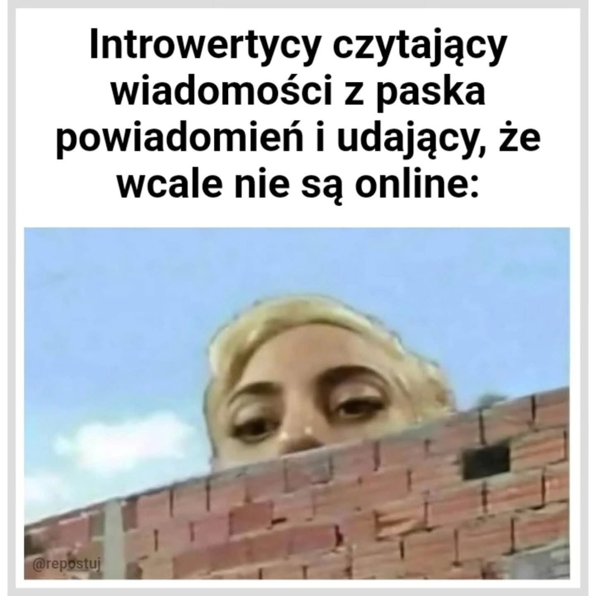 64432cb1-f844-4c9a-802a-6d7f881a8fb5