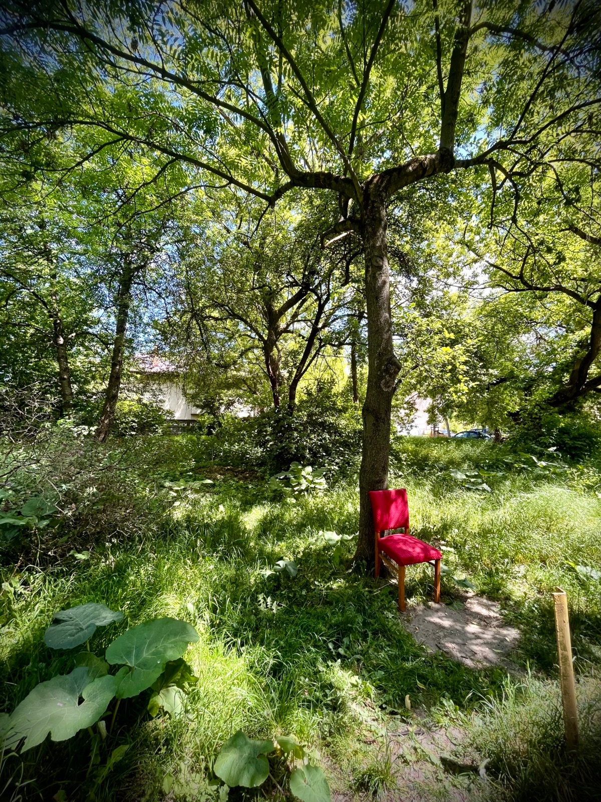 5302f84a-8e2a-4d3b-854e-07bdd6c7f2a3