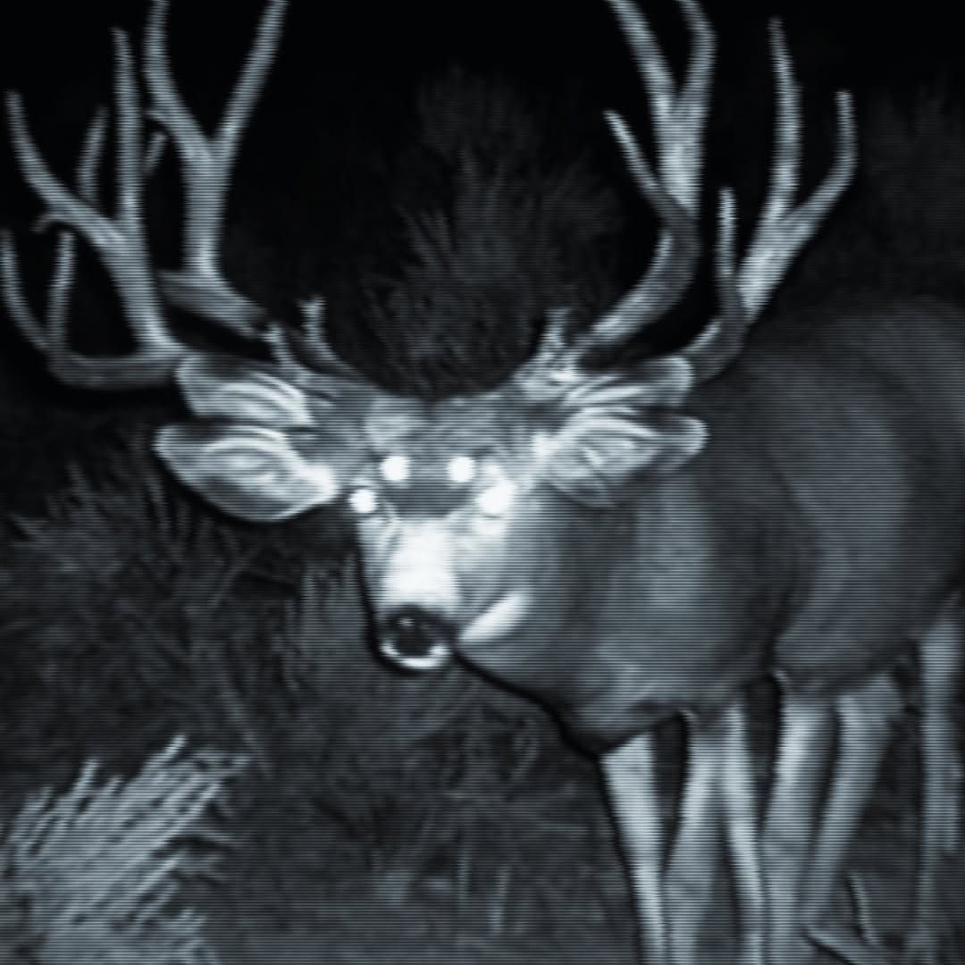 c999584b-abfe-4ffe-96e7-a243b87fb682