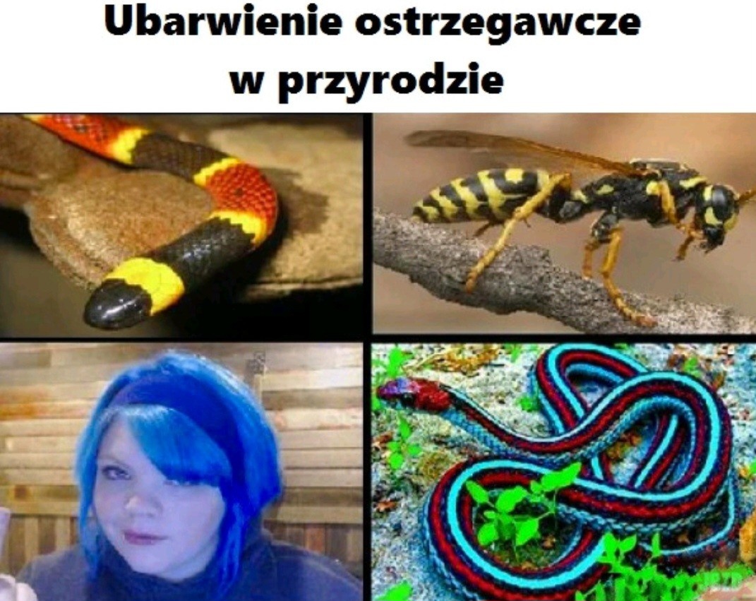 df533841-9553-4bc5-af91-6d8e355e9f47