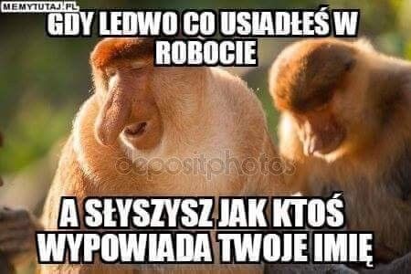 4a530a2a-fa3e-4d3e-b6b8-1a8e19543d86