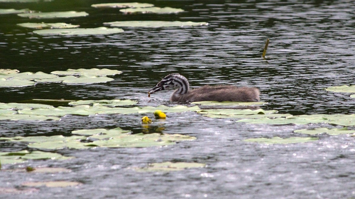 fbf112ec-fcc6-4f53-a469-e90b47780a59