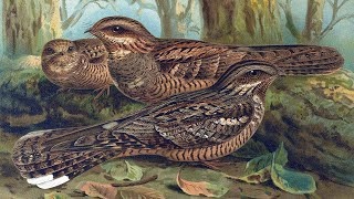 f811c597-63cf-43fc-aea3-6b72c5029cd9