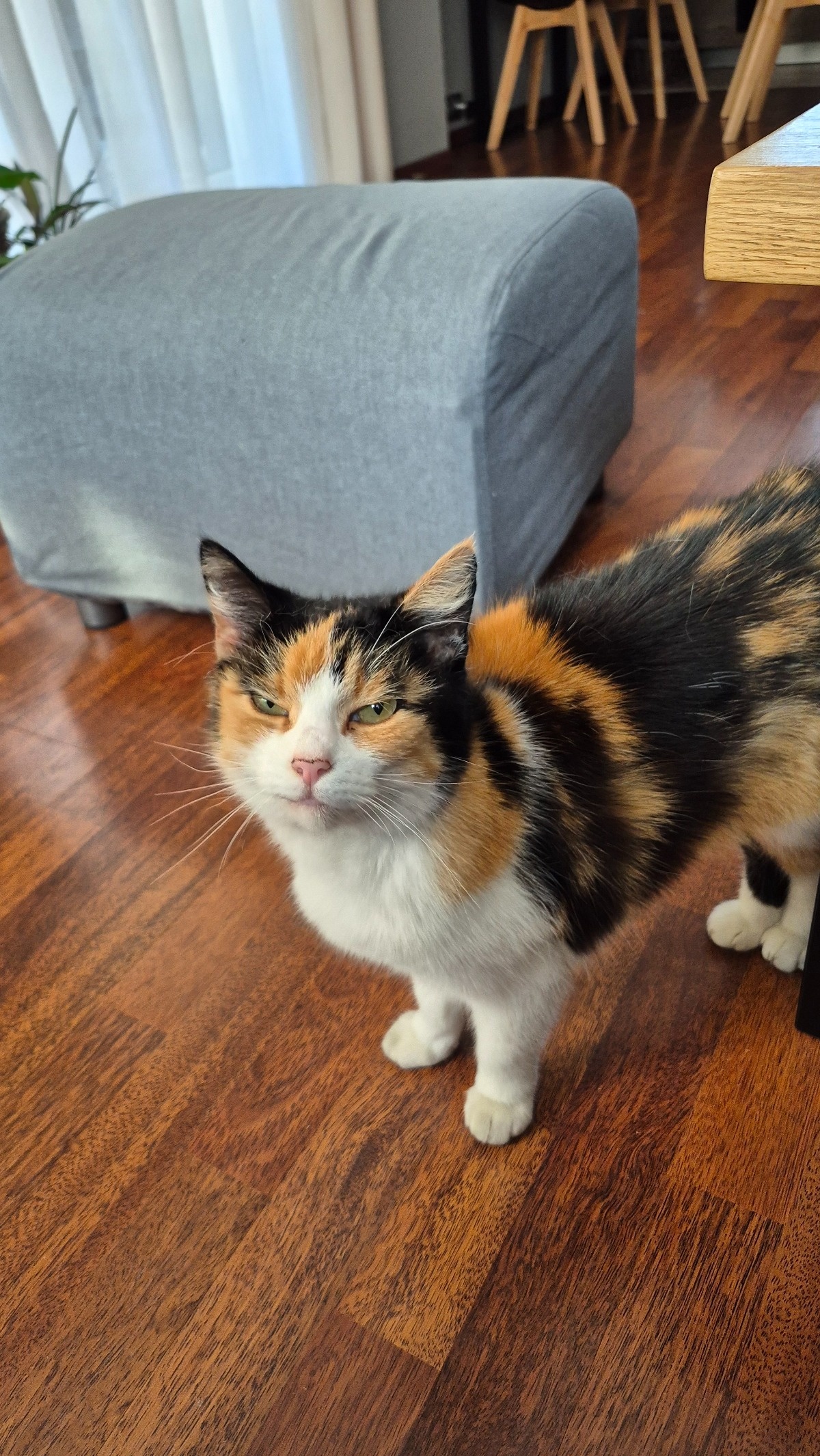 d2f71270-c153-458f-8214-108341e81751