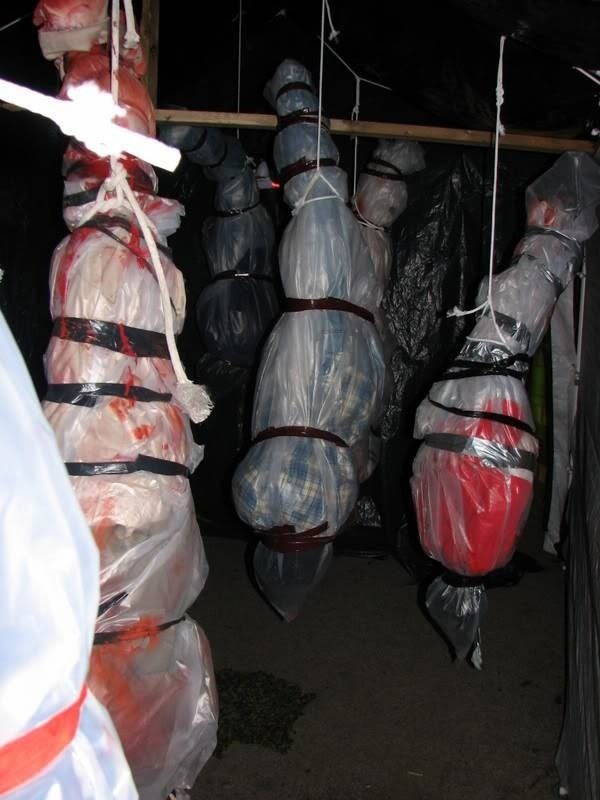 2ec3d7d0-6600-4e6c-997e-94d30412e279