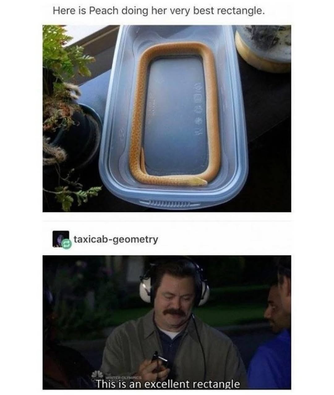 681d0051-b3a9-4b53-806f-27f9b5573a22