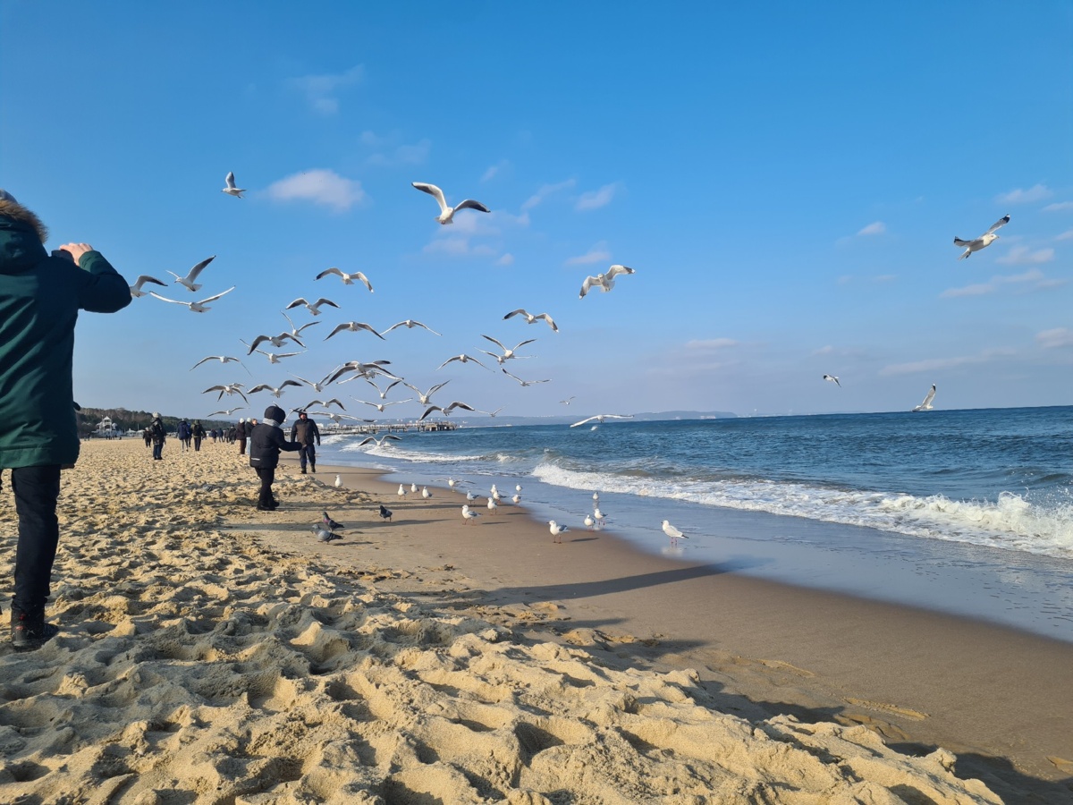 26d7cc62-67fe-4414-b0b6-8db0bd80e45c