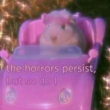 7c7c7545-c645-444e-854c-5b1a98a5d9a8