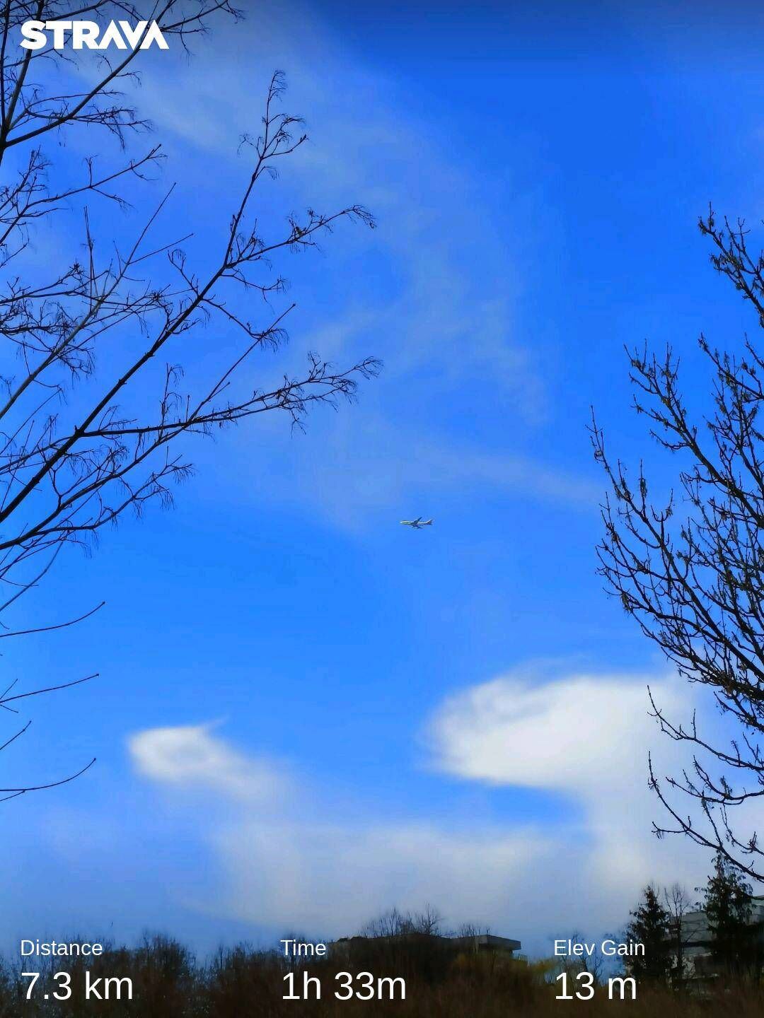 9d5c1904-381b-4dc4-92f7-e695251c576e