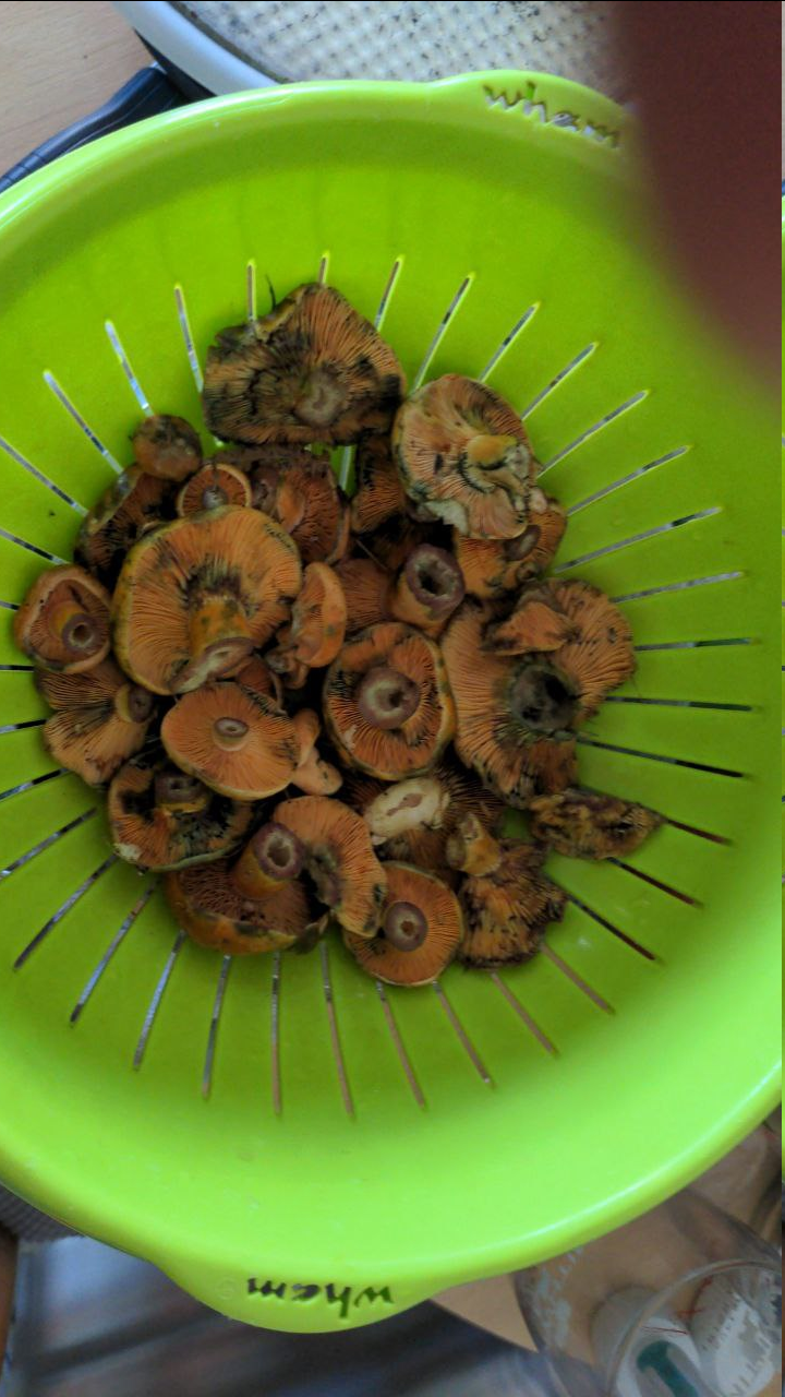 fc14a0a2-1dfe-40bb-9505-9d3b537f4a58