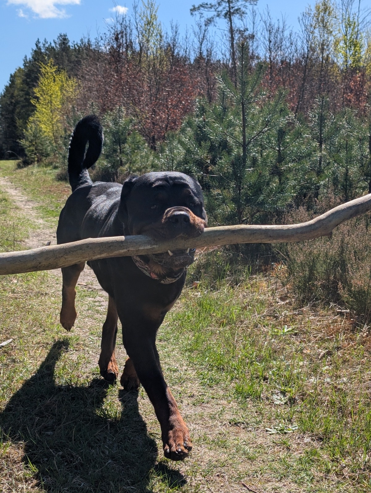 c247d64e-8ed8-49c6-8dba-96d84c75834e