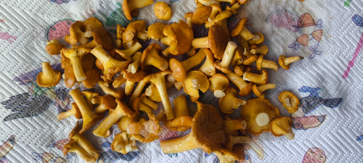 7ebb004d-cb35-4b1b-a402-b5bfb7958c96