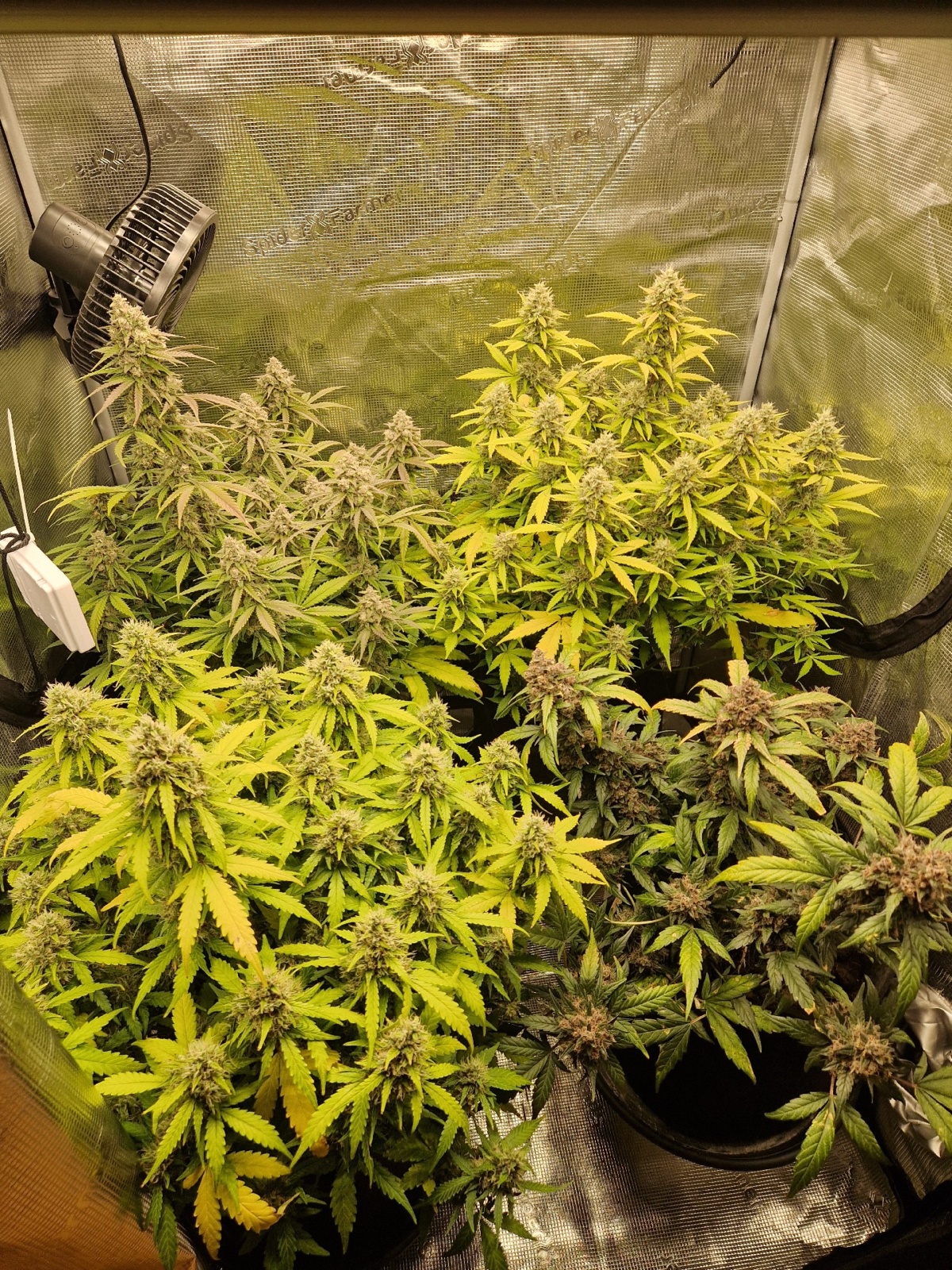 cbd11eb3-dbd1-4c95-801a-3b8a1c127a19