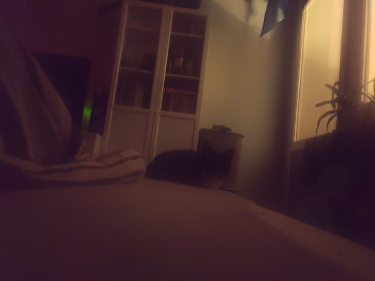 aa888b50-67f5-4591-a750-1151e2794b10