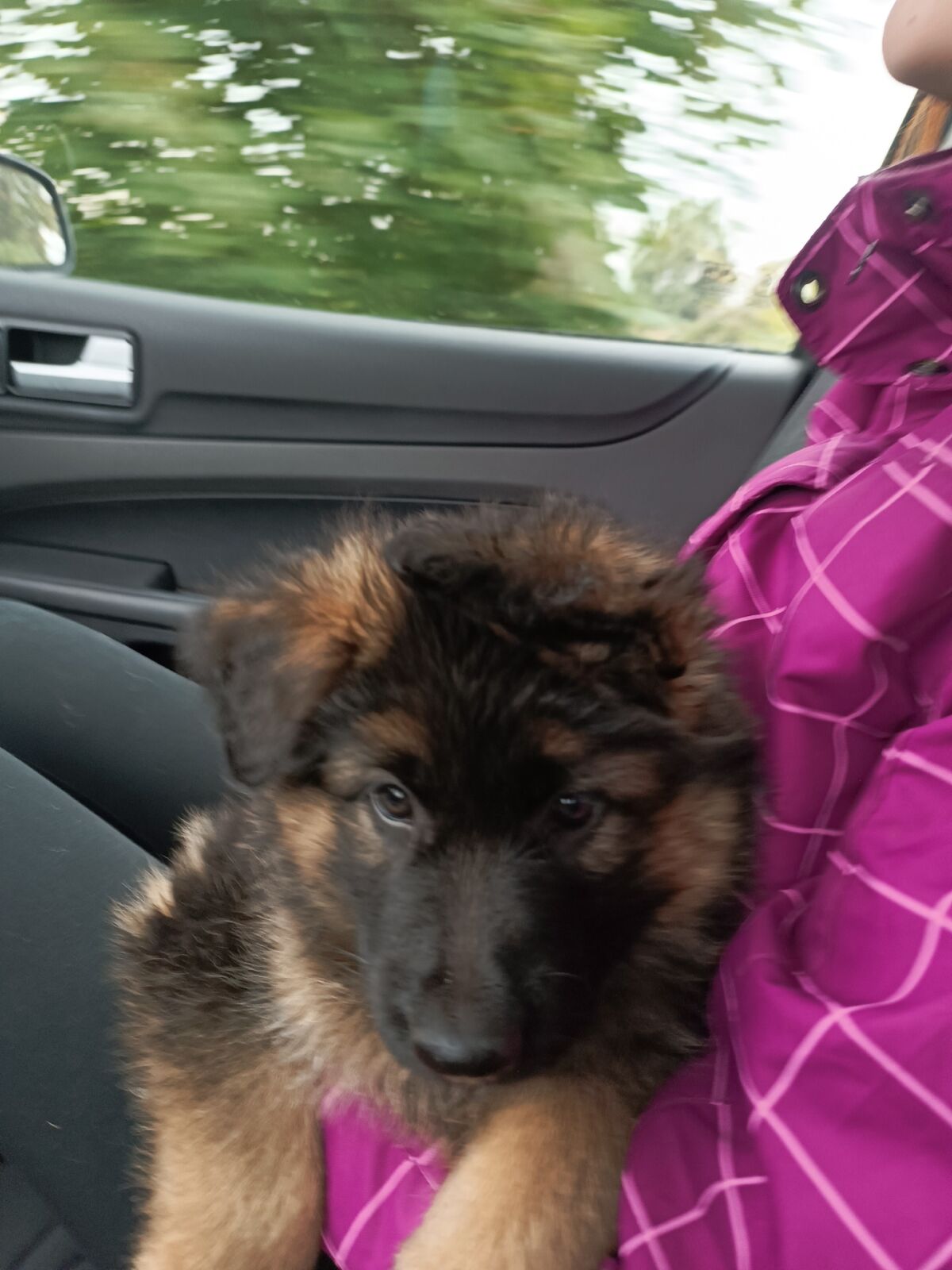 f1652f31-53c8-4e65-8d3f-c18675e37f0c