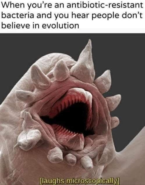 a31e6ae0-4d71-4dbe-b35b-ff6a4a9e82b2