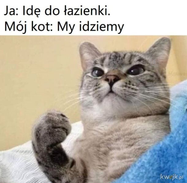 fd4724d6-5f2e-4ba0-96f9-0a76ec8641bd