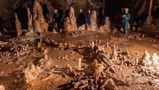 Neandertalczycy potrafili więcej niż myślimy