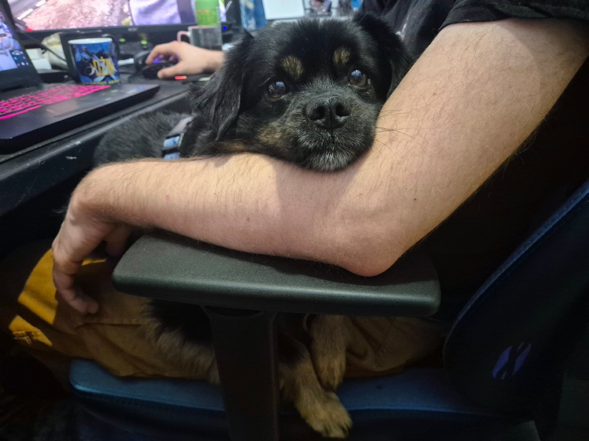 e7e3de6f-b5dc-4600-8fbd-dfc615dccc0a