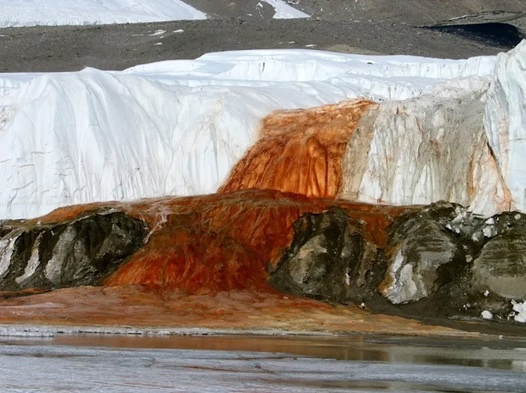 7c745363-54bd-41ab-b04c-06ef9dc84be6