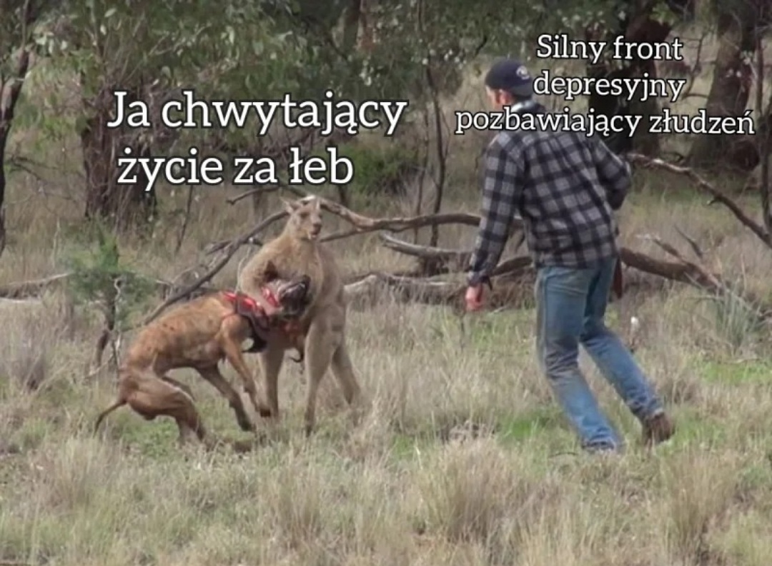 4709d55a-4099-4921-acc1-0846842e39b8