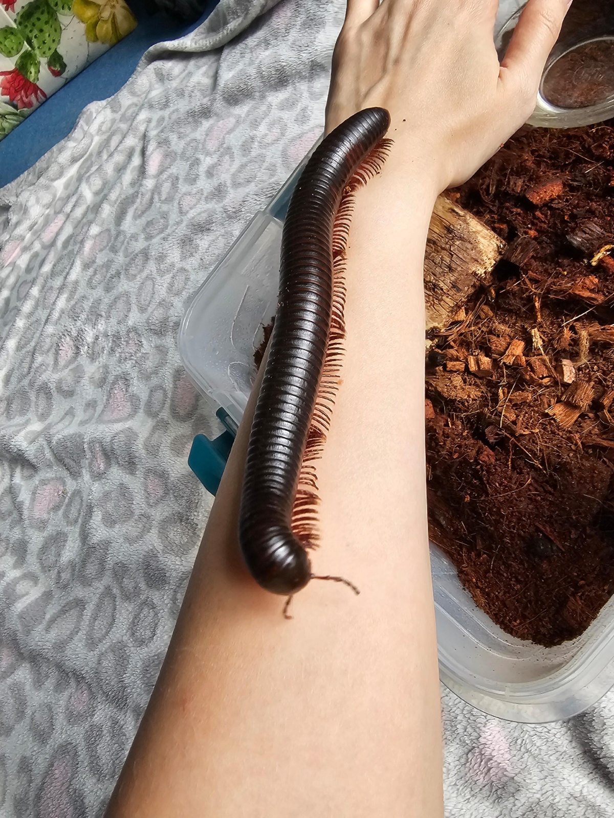 dd34b16e-83cc-4d28-92ac-9349ccd1d537