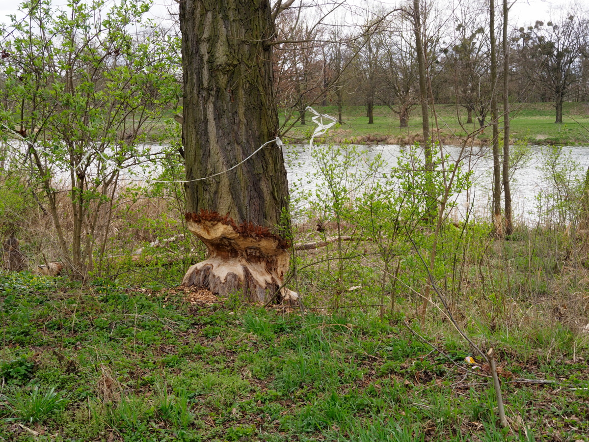 f58f961b-9438-49e6-90a0-3336d4151e82