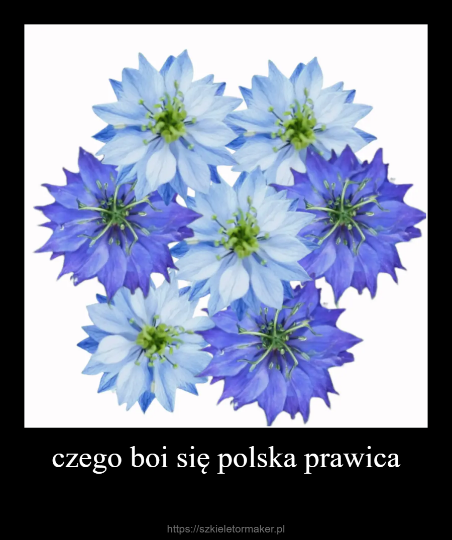 13ff21f1-20fc-4515-bb67-1a39e8fdacc8