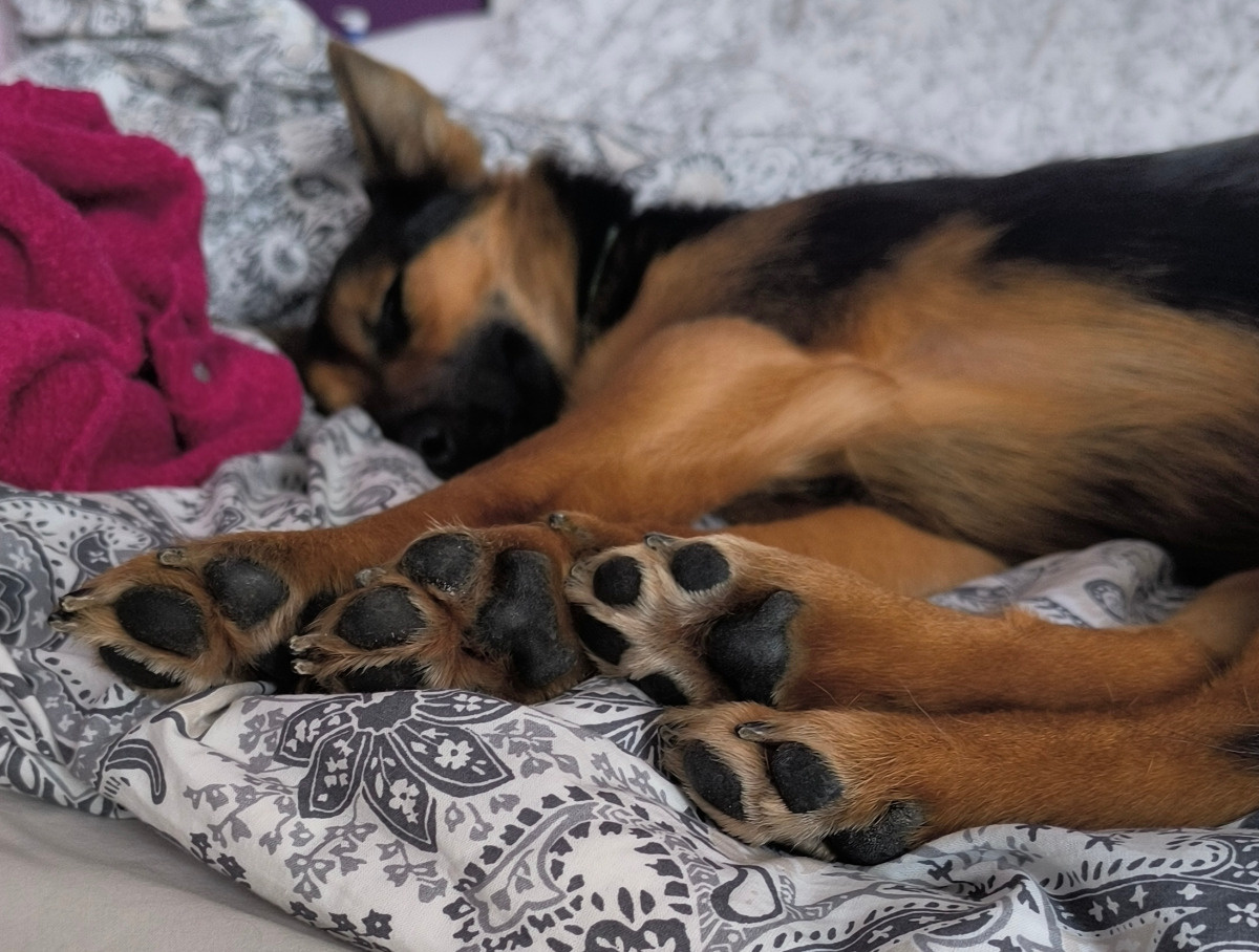 31220673-811c-40d9-a35c-9d06ab3e8fe5