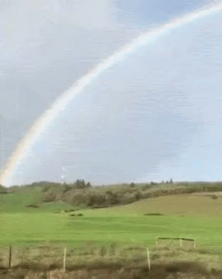 e0b0824e-6b19-485b-beb8-463839d22d9f